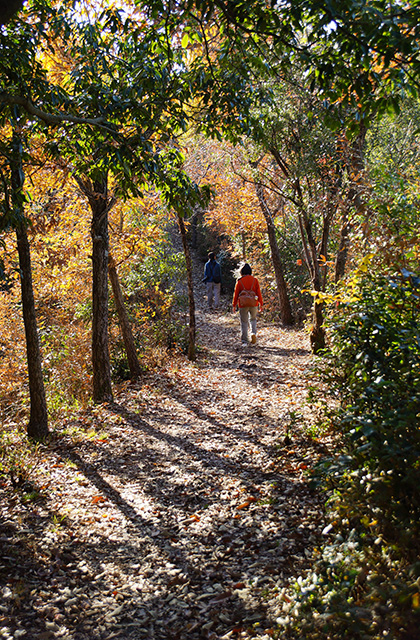 伊木山の景色の写真