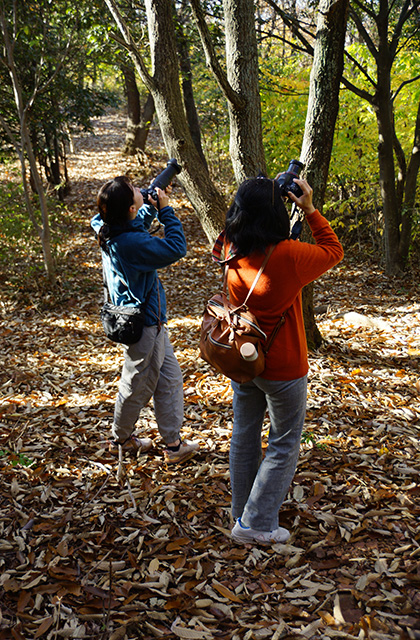伊木山の景色の写真