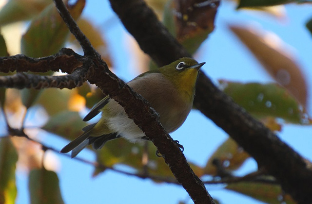 伊木山の景色の写真