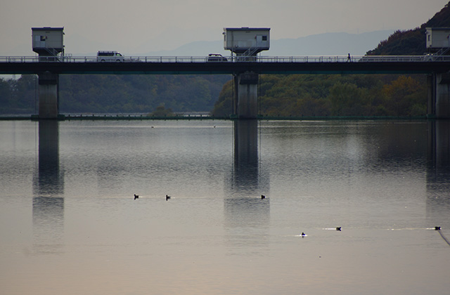 鵜沼地区の景色の写真