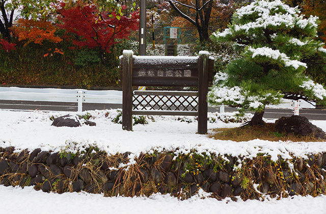 蘇原自然公園の雪景色の写真
