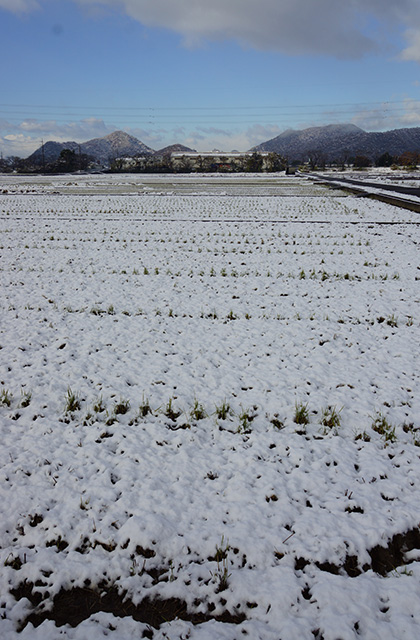 蘇原自然公園の雪景色の写真
