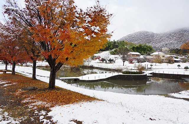 蘇原自然公園の雪景色の写真
