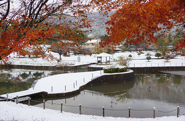 蘇原自然公園の雪景色の写真