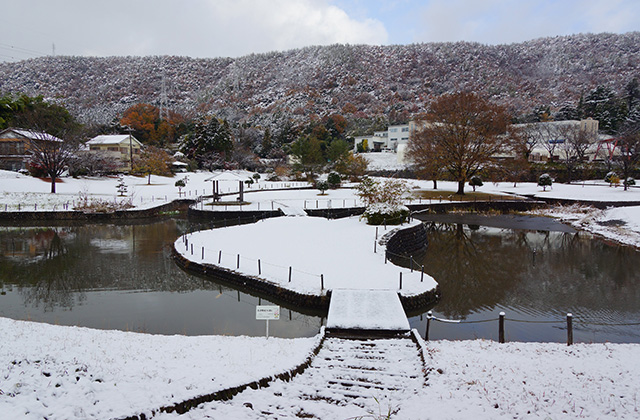 蘇原自然公園の雪景色の写真