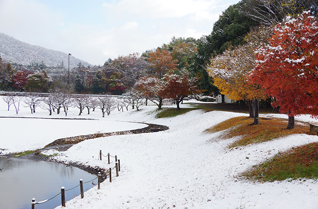 蘇原自然公園の雪景色の写真