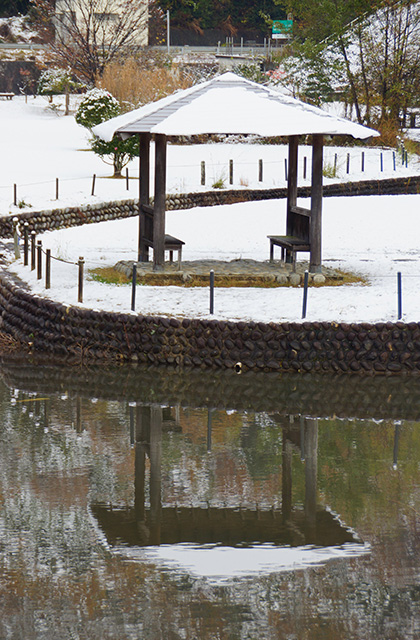蘇原自然公園の雪景色の写真