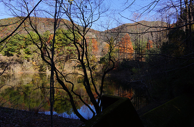 東海自然歩道の景色の写真