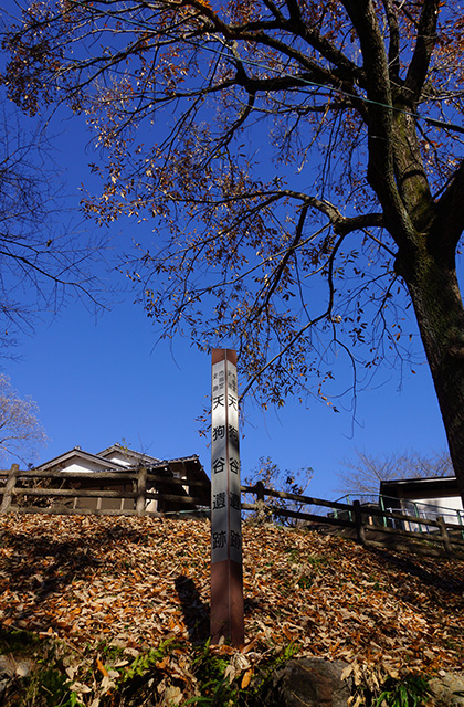 東海自然歩道の景色の写真