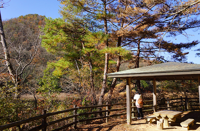 東海自然歩道の景色の写真