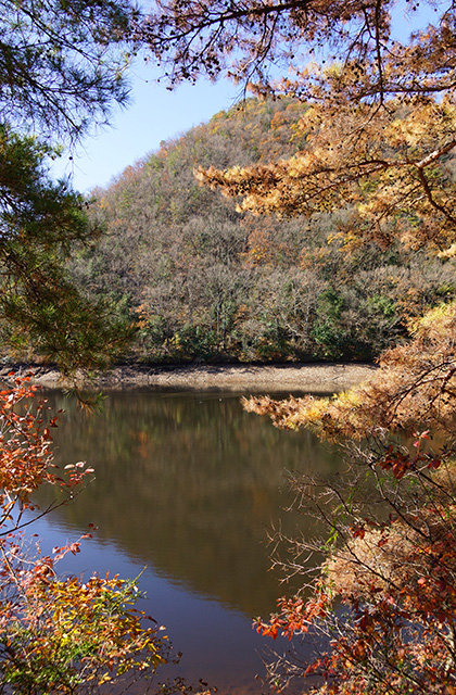 東海自然歩道の景色の写真