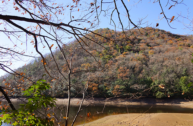東海自然歩道の景色の写真
