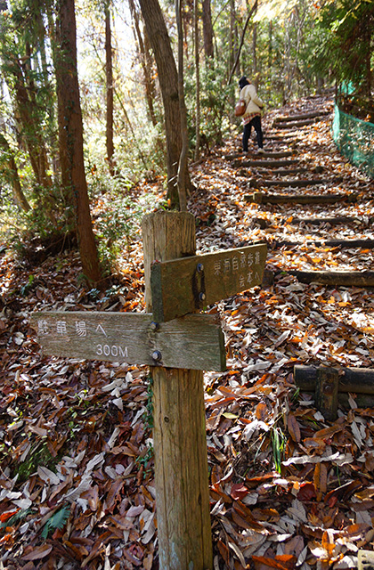 東海自然歩道の景色の写真