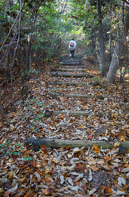 東海自然歩道の景色の写真