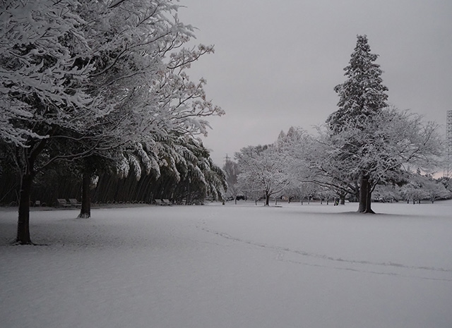 学びの森の雪景色の写真