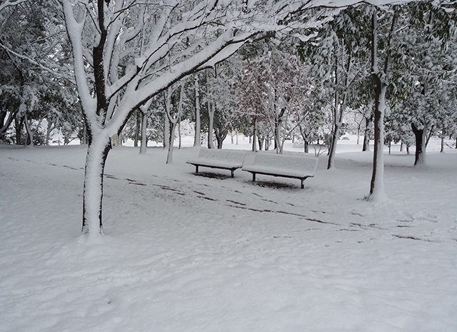 学びの森の雪景色の写真