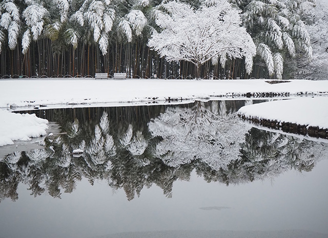 学びの森の雪景色の写真