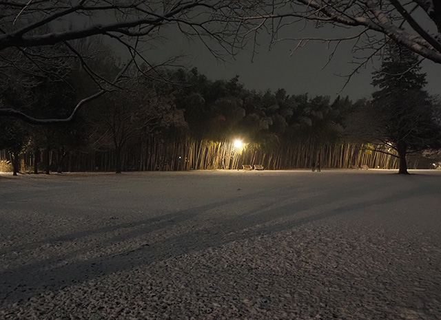 学びの森の雪景色の写真