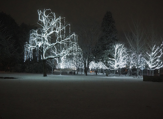 学びの森の雪景色の写真