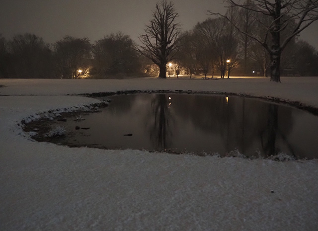 学びの森の雪景色の写真