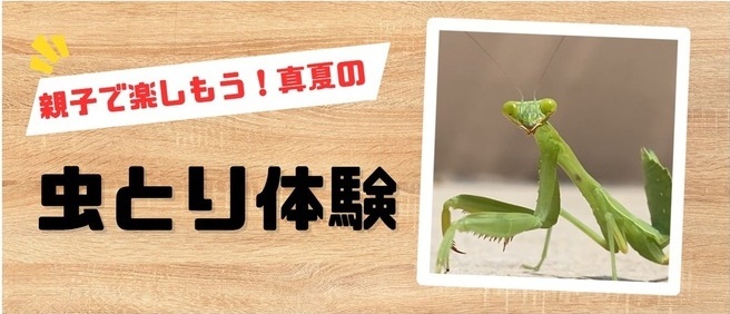 ファミリーデー