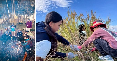 あめつちの活動のようす