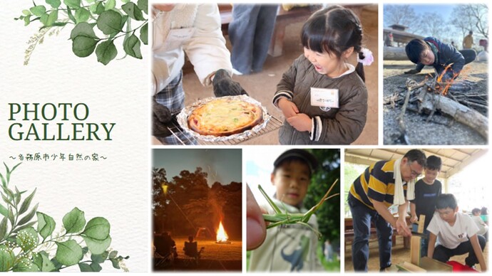 フォトギャラリー