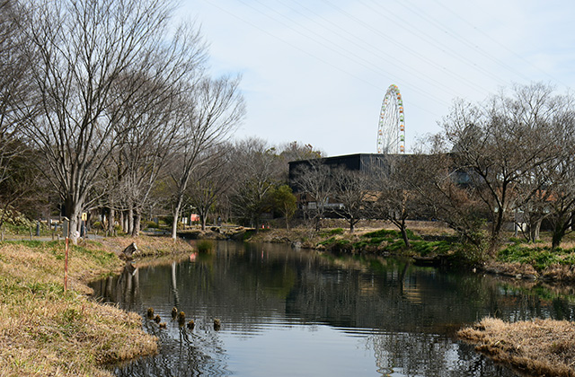 ご当地じまん祭の写真