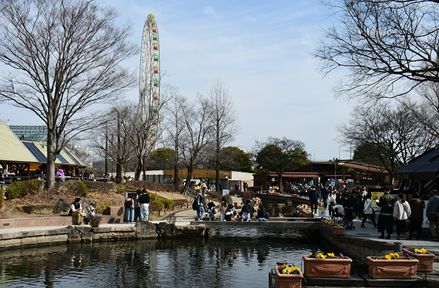 ご当地じまん祭の写真