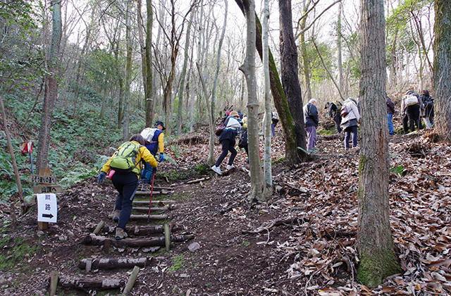 野外セミナー「伊木山から鵜沼城を望む！」の写真
