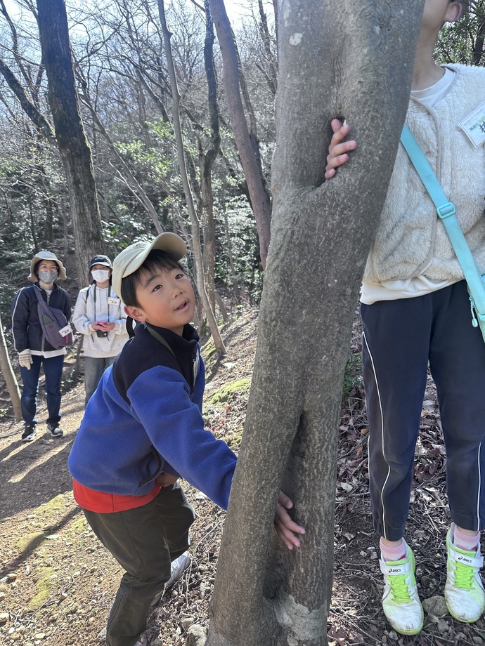 伊木山トレッキング