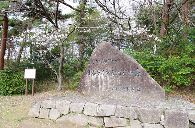 日本ラインうぬまの森の桜の写真