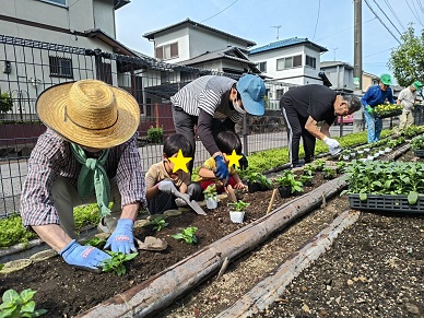 花の苗植えのようす
