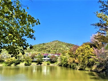 上池の景色