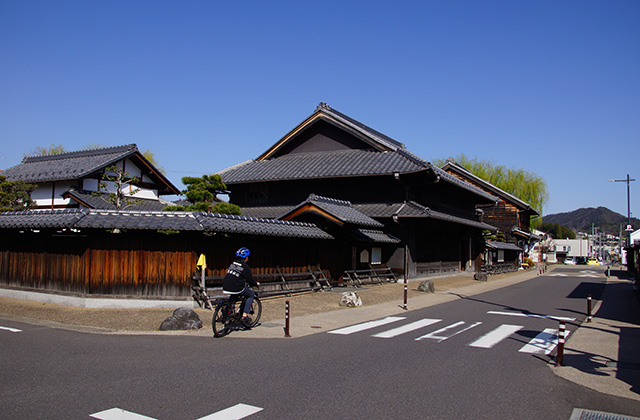 大安寺川の桜の写真