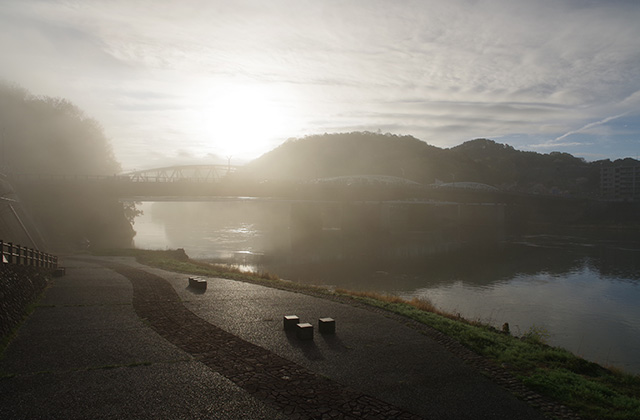 朝霧と木曽川沿いの桜の写真