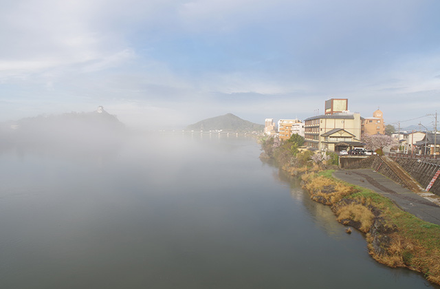 朝霧と木曽川沿いの桜の写真