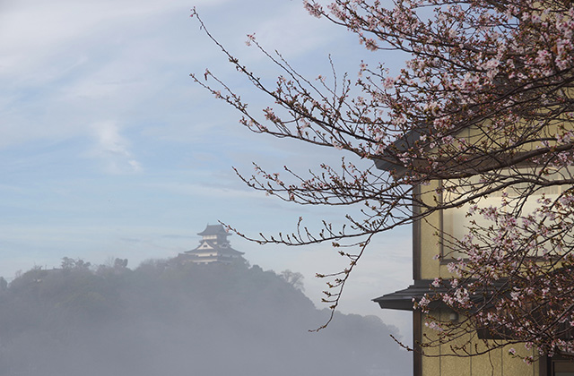 朝霧と木曽川沿いの桜の写真