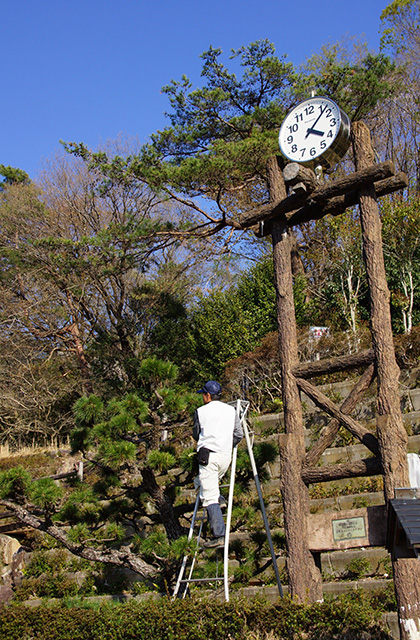 うぬまの森、春の花々の写真