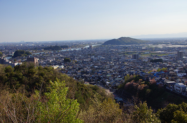 うぬまの森、春の花々の写真