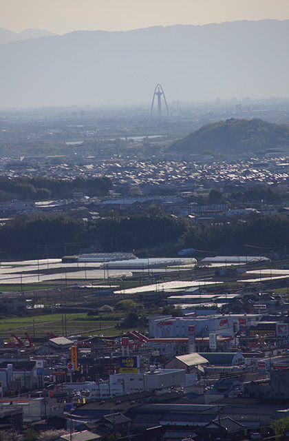 うぬまの森、春の花々の写真