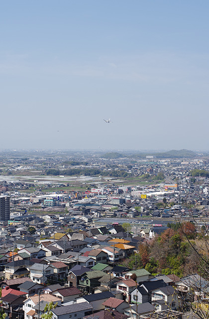 日本ラインうぬまの森のツツジの写真