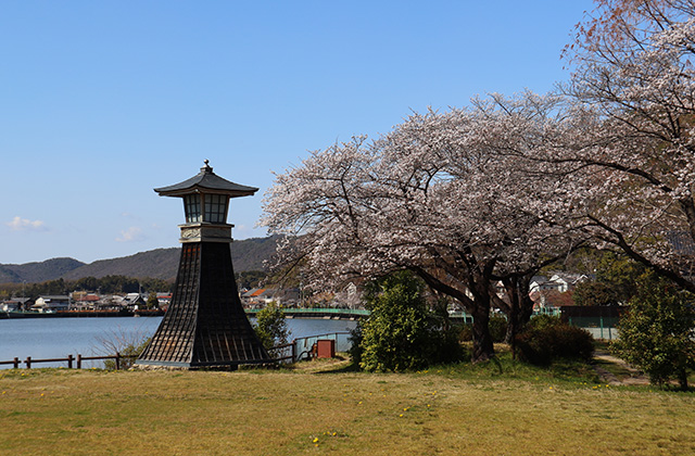 貞照寺・苧ヶ瀬池・炉畑遺跡・自然遺産の森の桜の写真