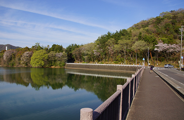 春の合戸池を巡るの写真