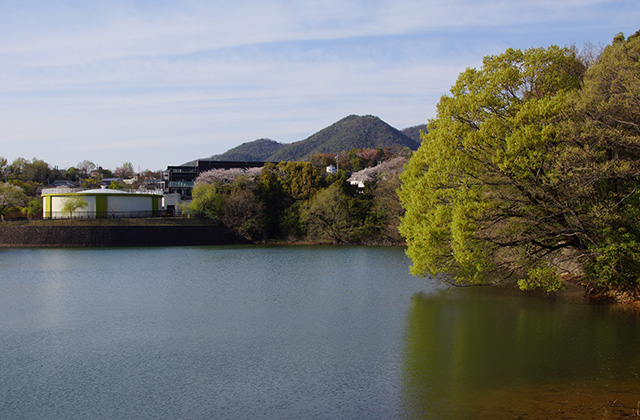 春の合戸池を巡るの写真