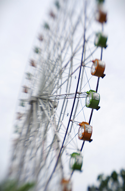 河川環境楽園のムラサキハナナと花々の写真