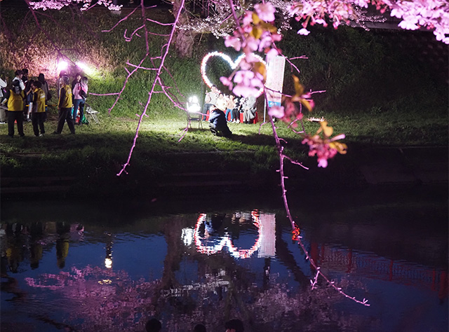 桜まつりの写真