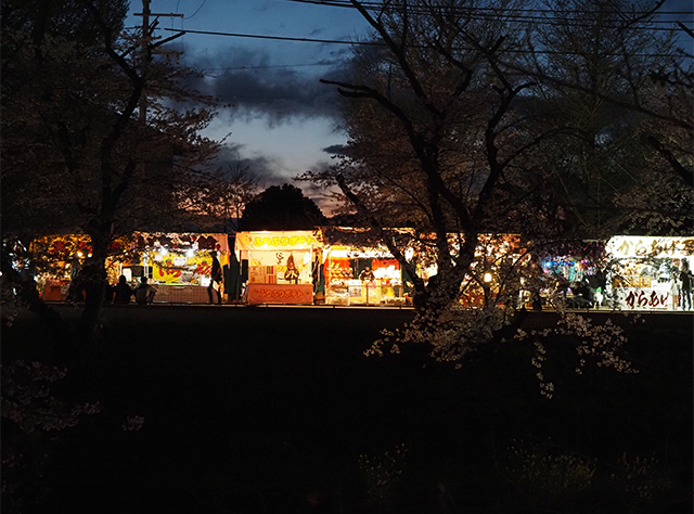 桜まつりの写真