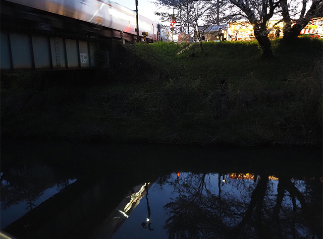 桜まつりの写真
