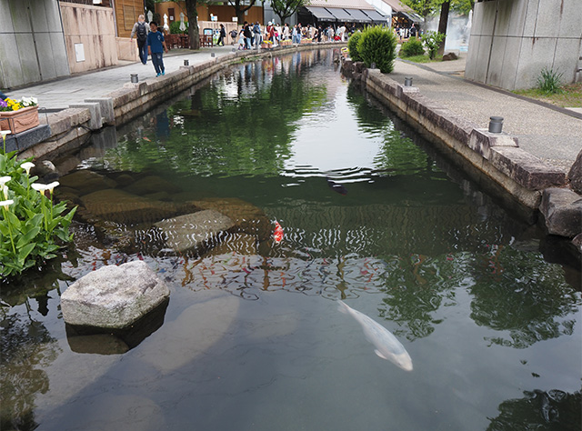 かわしま川まつりの写真